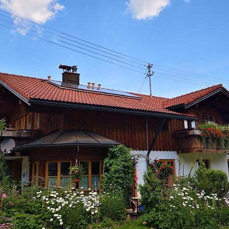 Haus Auerhahn Lägenhet Bad Hindelang Exteriör bild