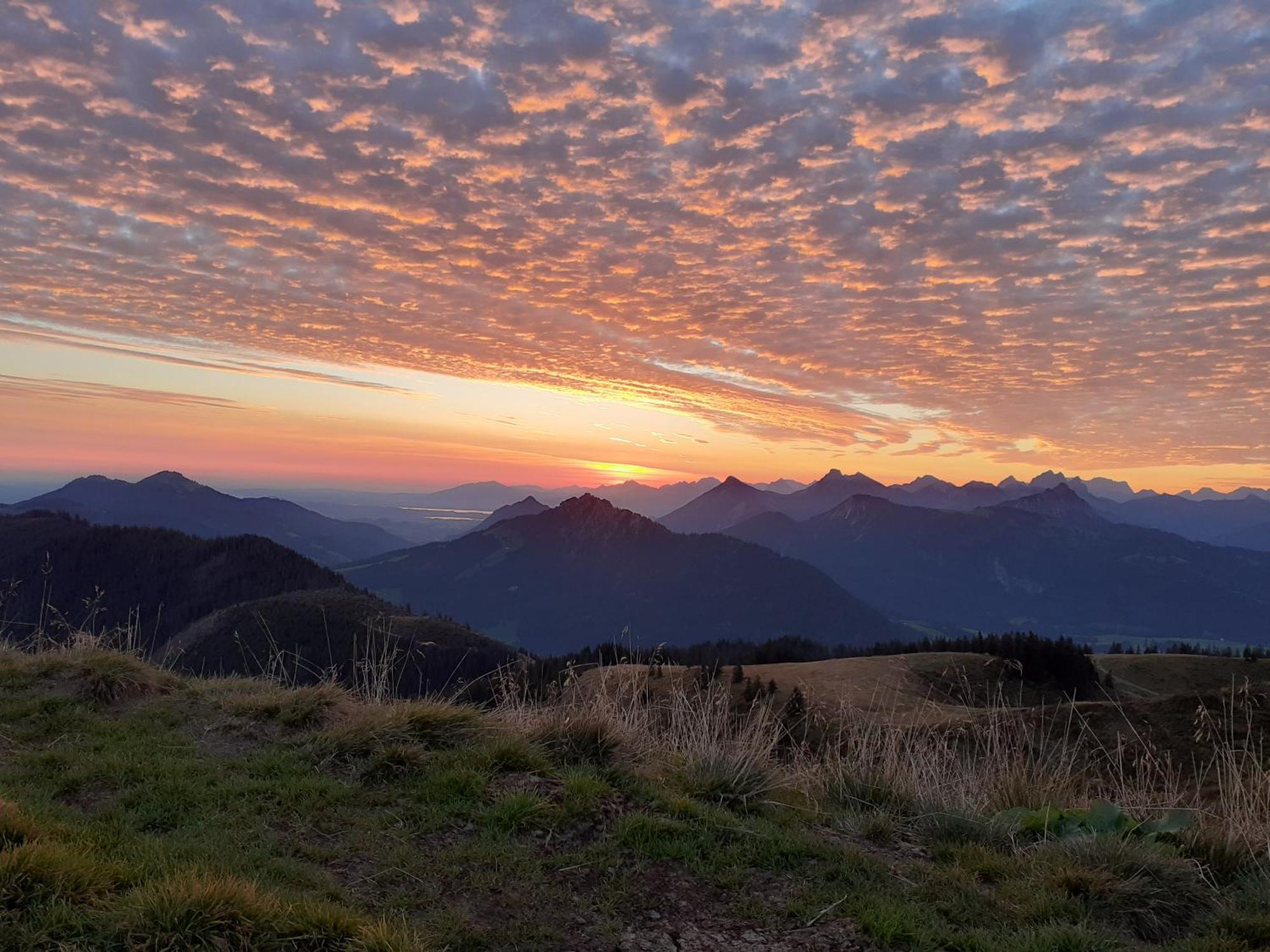 Haus Auerhahn Lägenhet Bad Hindelang Exteriör bild