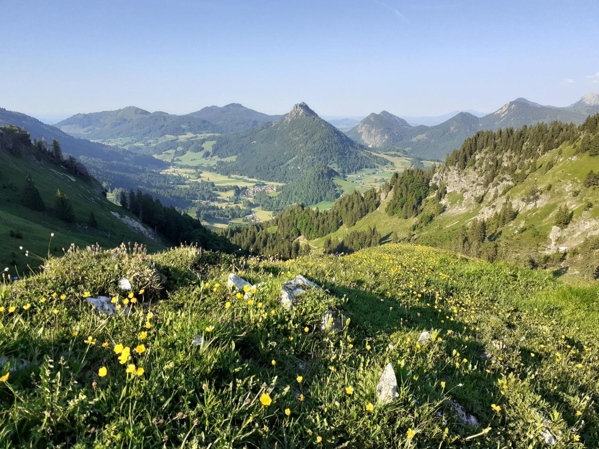Haus Auerhahn Lägenhet Bad Hindelang Exteriör bild