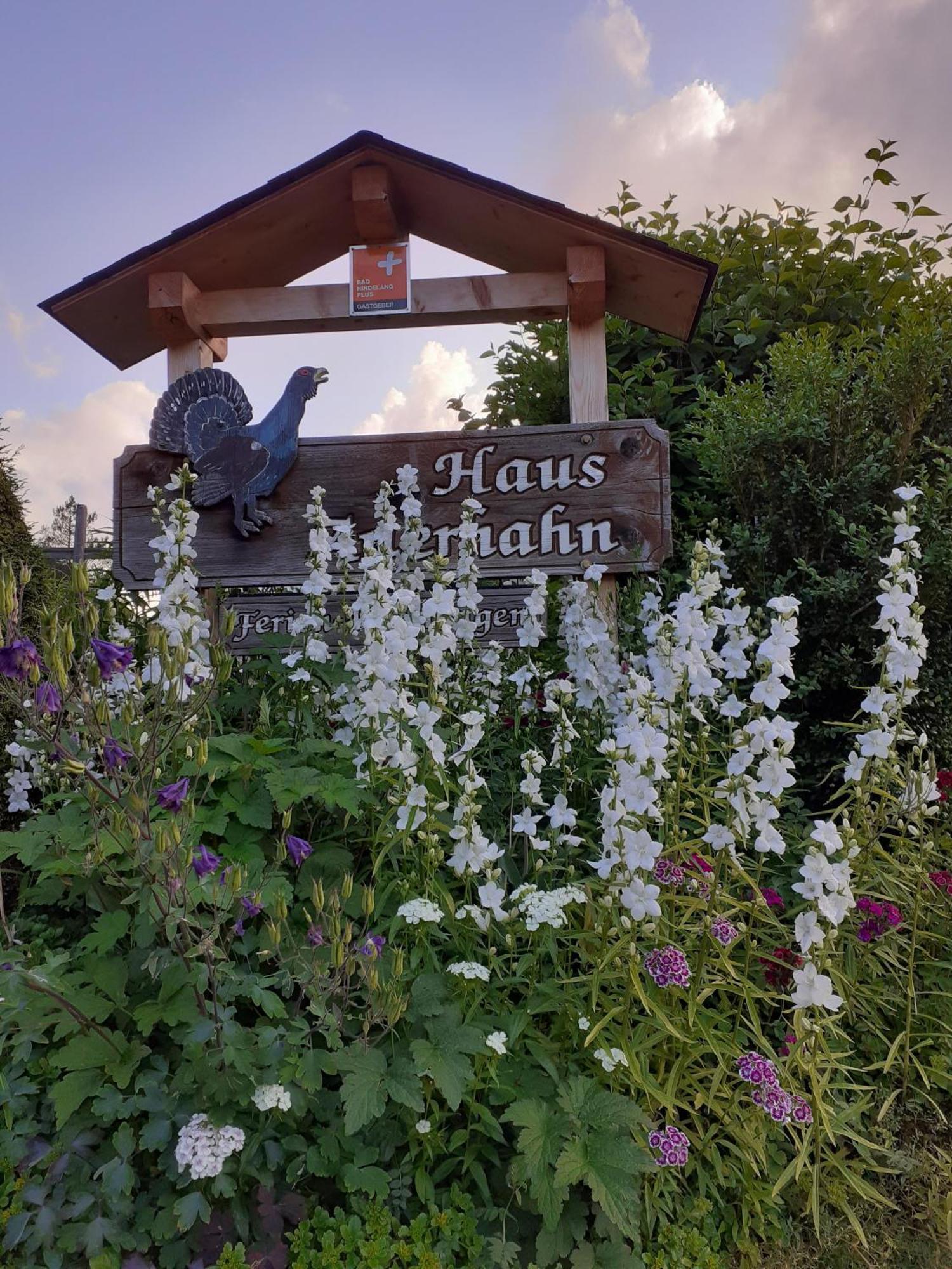 Haus Auerhahn Lägenhet Bad Hindelang Exteriör bild